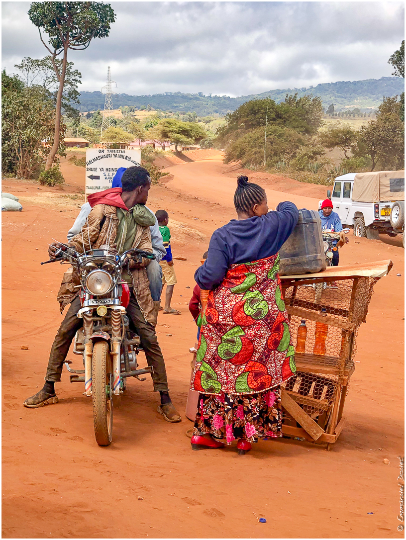 2022 07 Tanzanie 322 (5)